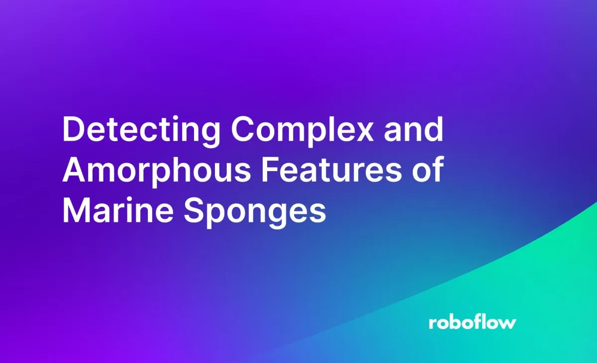 marine sponge